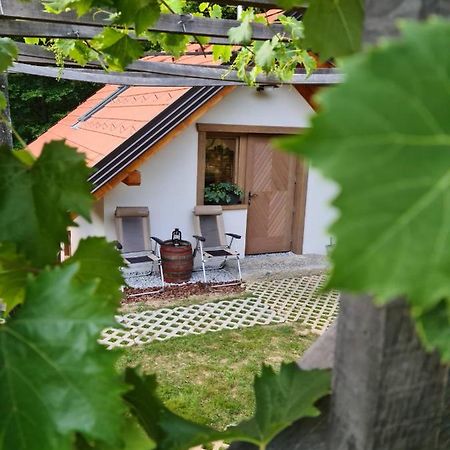 Zidanica Zagar Villa Dolenjske Toplice Dış mekan fotoğraf