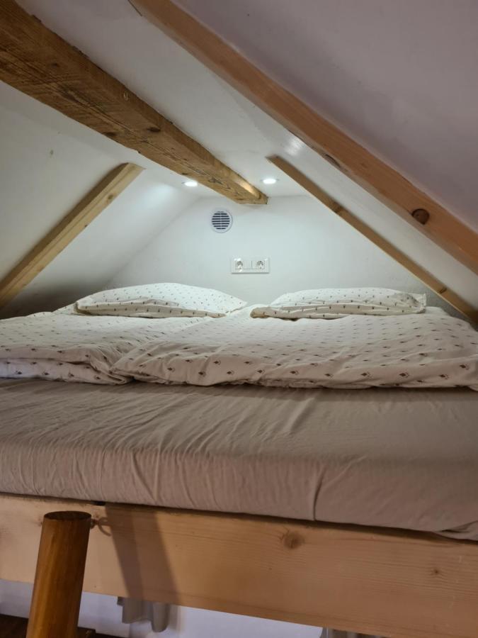 Zidanica Zagar Villa Dolenjske Toplice Dış mekan fotoğraf